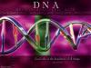 DNS molecule DNS