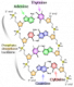 http://upload.wikimedia.org/wikipedia/commons/thumb/e/e4/DNA_chemical_structure.