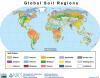 Global soil orders