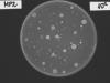 Determination of the living cell counts