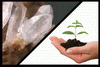 Exploitation of minerals Exploitation of minerals