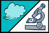 Biological-ecological assessment or monitoring for air Biological-ecological assessment or monitoring for air