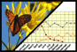 Plants and animals >> Regularities, trends