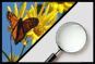 Plants and animals >>Examination methods Plants and animals >>Examination methods