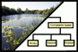 Ecosystems >> Types Ecosystems >> Types