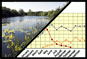 Ecosystems >>Trends and regularities