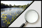 Ecosystems >> Examination methods Ecosystems >> Examination methods