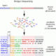 http://www.scq.ubc.ca/genome-projects-uncovering-the-blueprints-of-biology/