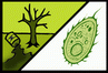 Ecotoxicological assessment or monitoring for contaminated sites Ecotoxicological assessment or monitoring for contaminated sites