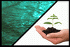 Water >> Use Water >> Use