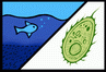 Ecotoxicological assessment or monitoring for surface water and sediment Ecotoxicological assessment or monitoring for surface water and sediment