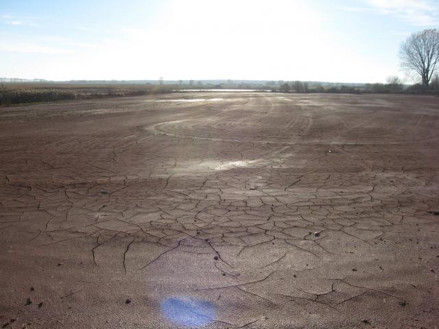 Red mud on the soil