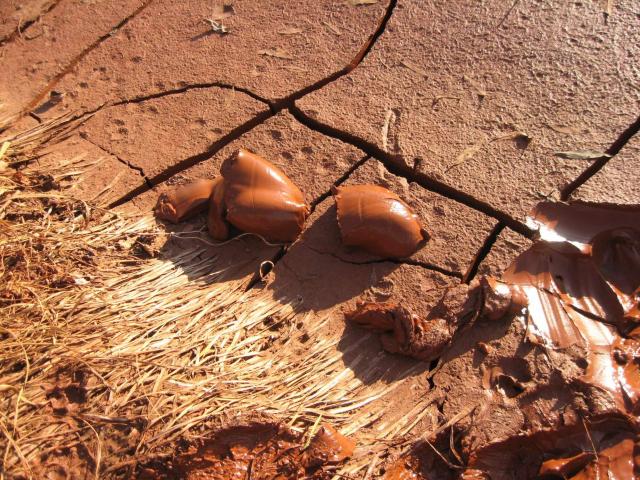 Red mud on soil