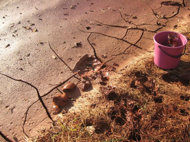 Sampling of the red mud for laboratory experiments