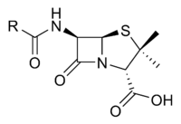 http://hu.wikipedia.org/wiki/Penicillin