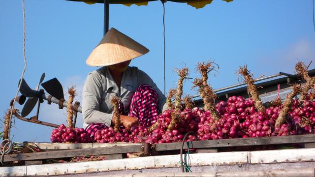 Floating market