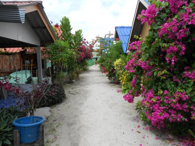 Bugallows on Koh Lipe