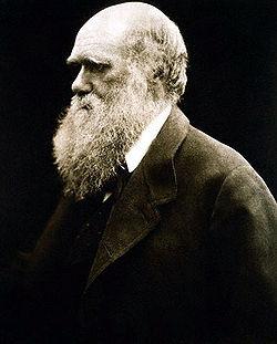 Darwin