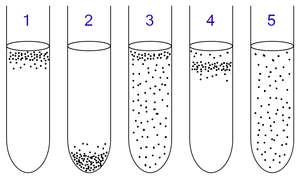 Bacteria in liquid medium