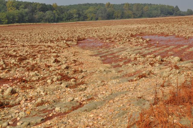 Soil with red mud