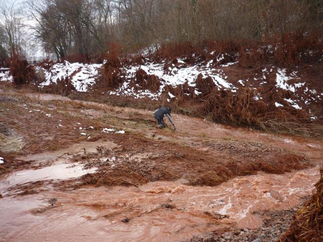 Flowing into the Torna creek