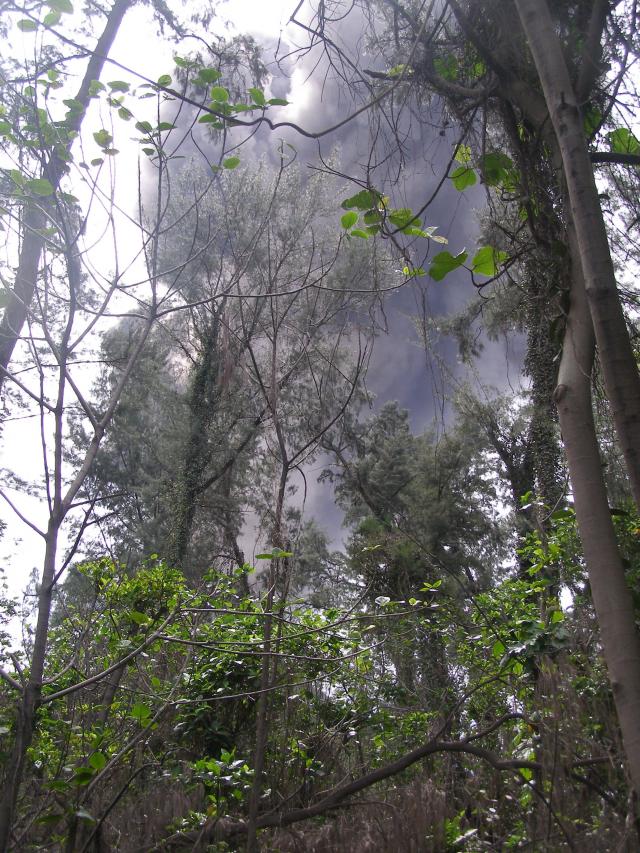 Krakatau gyermekének kitörése