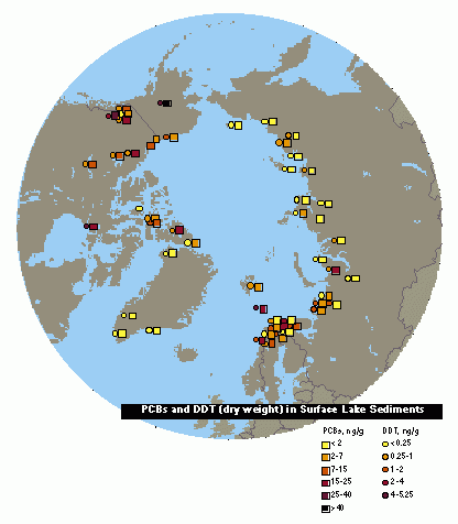 PCB és DDT az Északi-sarkon