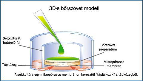 http://www.mbresearch.com/epiderm.htm