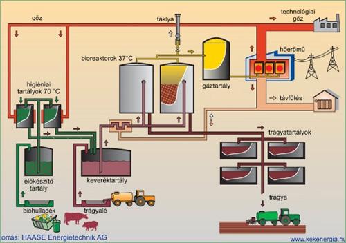 Biogas production