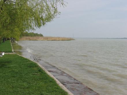 Balaton