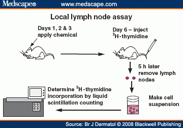 http://img.medscape.com/fullsize/migrated/578/547/basketter.fig1.gif