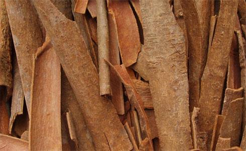 http://chaipilgrimage.com/wp-content/uploads/chaipilgrimage_cinnamon.jpg