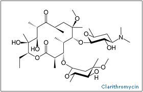 http://www.onlinepharmacycatalog.com/drugs-medications/antibiotics/clarithromyci