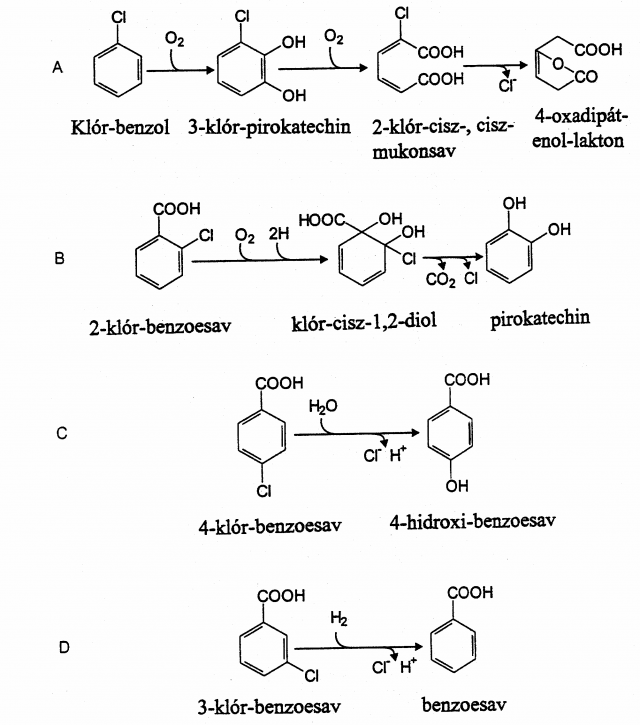 Monoaromás xenobiotikumok dehalogénezése