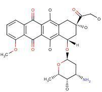 Doxorubicin