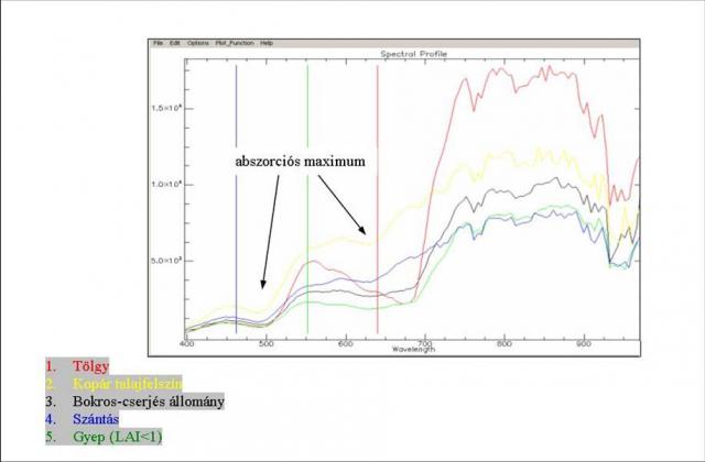 A vizsgált terület abszorpciós spektruma