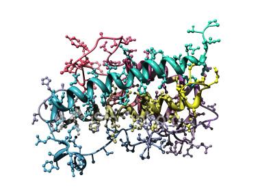 http://www.istockphoto.com/stock-photo-4606038-model-of-human-growth-hormone.php