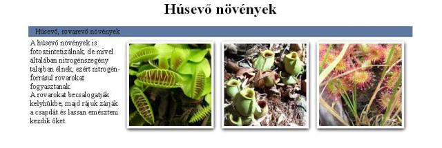 Húsevő növények