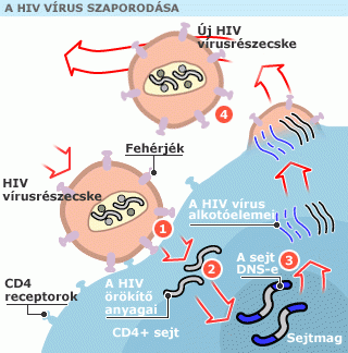 HIV