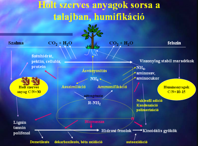 humifikáció