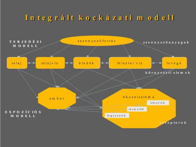 Integrated Risk Model