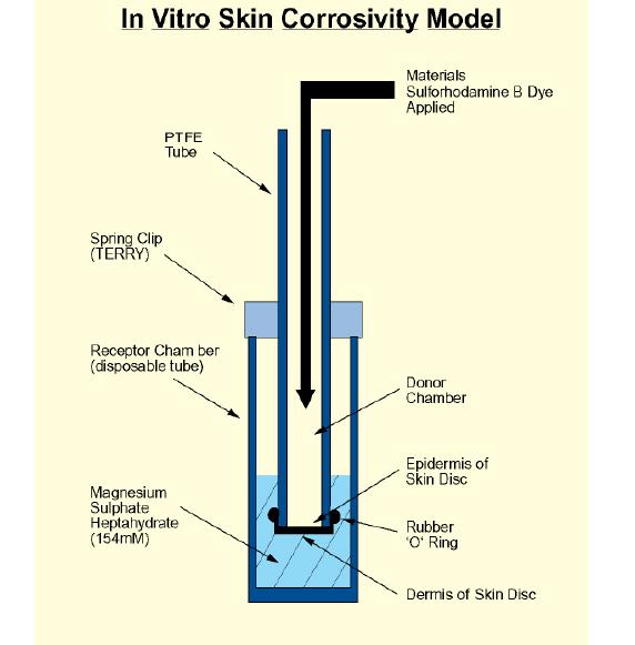 In Vitro Skin Corrosion: Transcutaneous Electrical Resistance Test