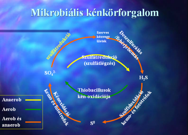 Kénkörforgalom