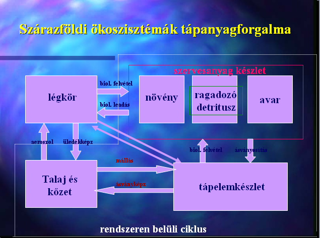 tápanyagforgalom