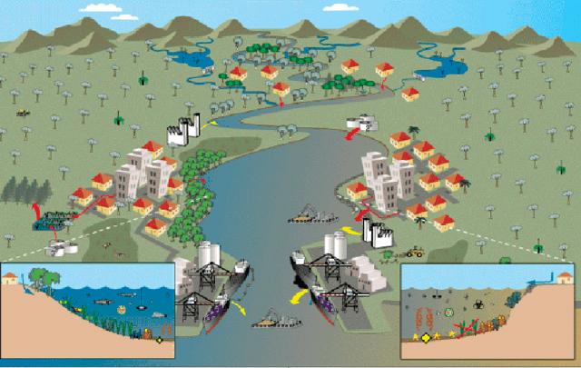 Catchment management