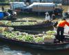 Floating market