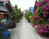 Bugallows on Koh Lipe