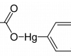 Phenylmercury