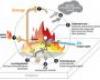 Flame retardants