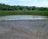 View of the inactive flotation tailings pond in Gyöngyösoroszi, Hungary